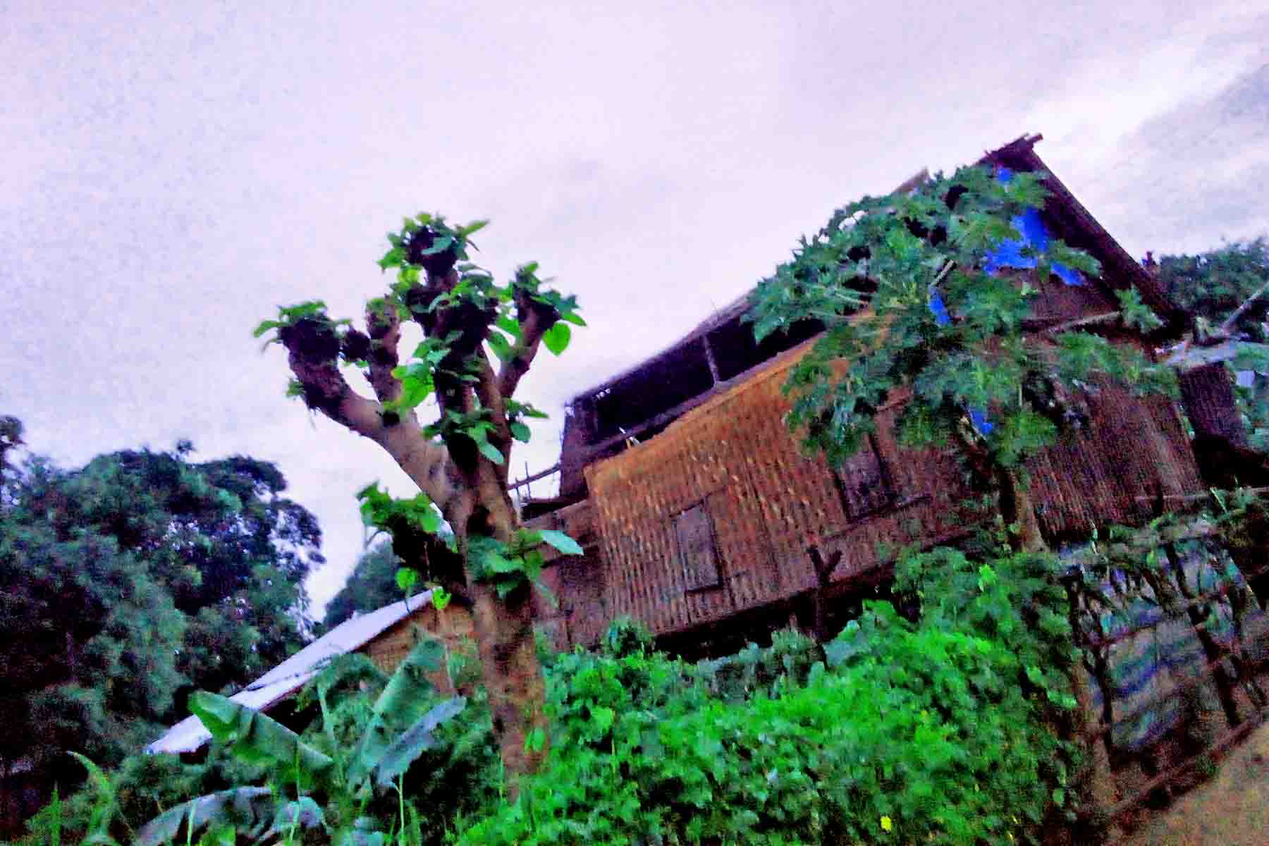 mdn