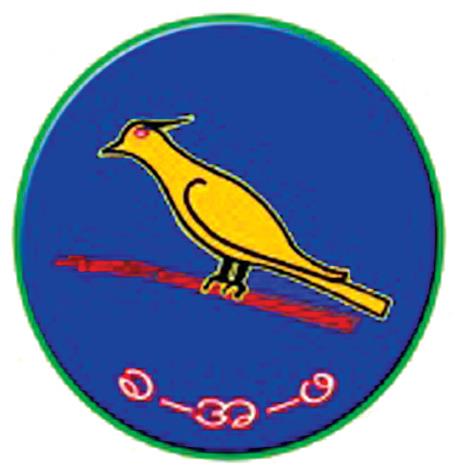 mdn