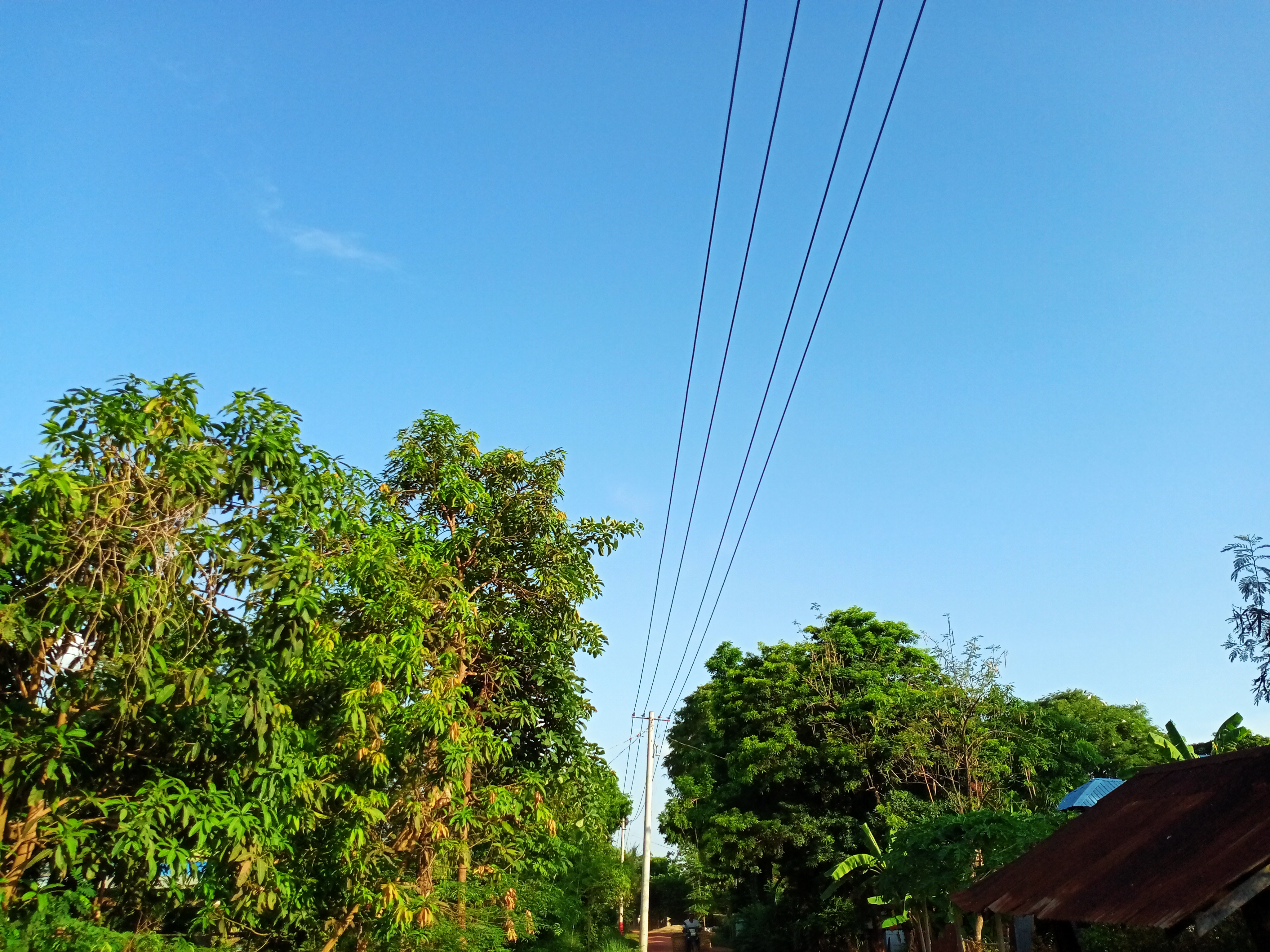 mdn