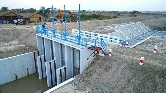 mdn