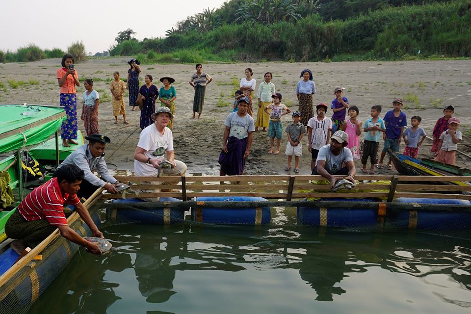 ‌ေ