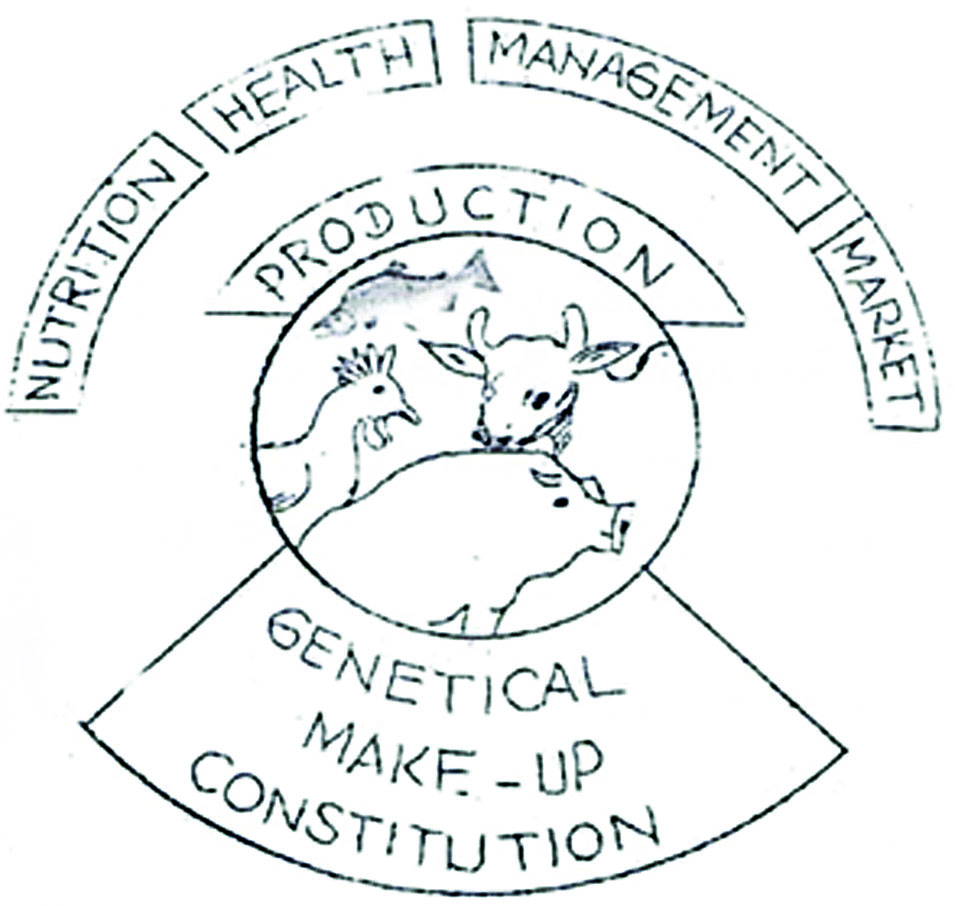 mdn