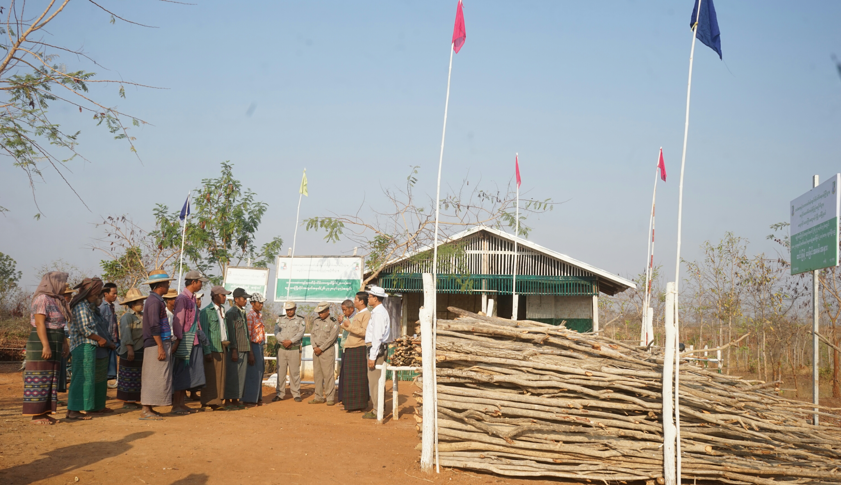 DSC029