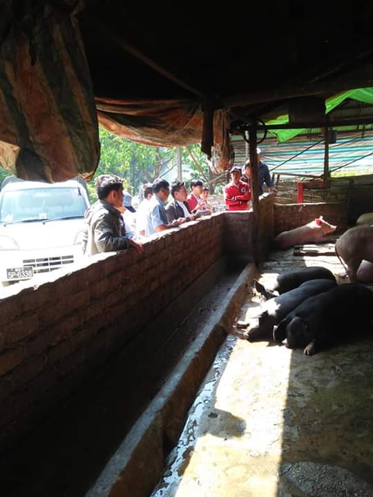 ိိ
