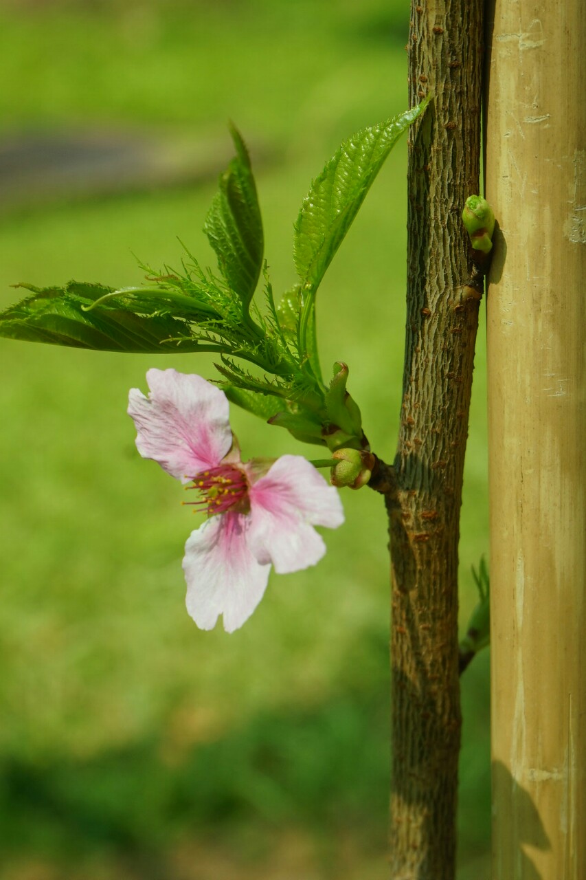 IMG-4d3221b8