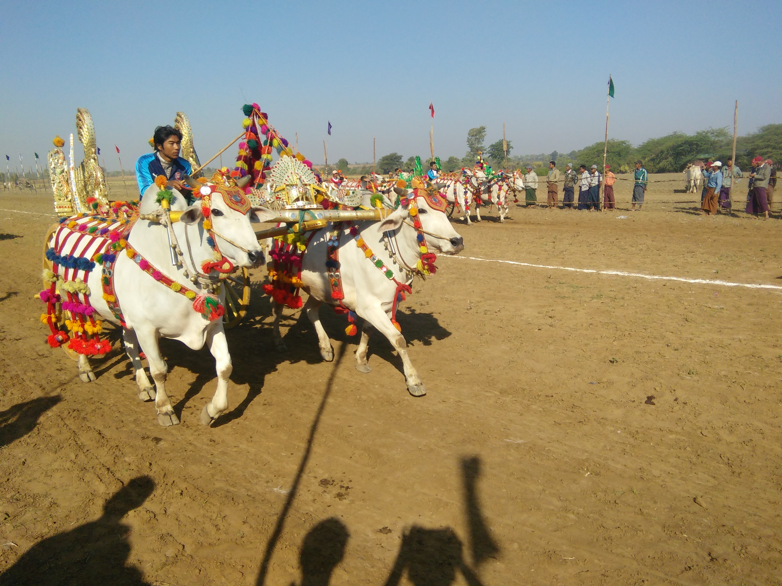 ာိည
