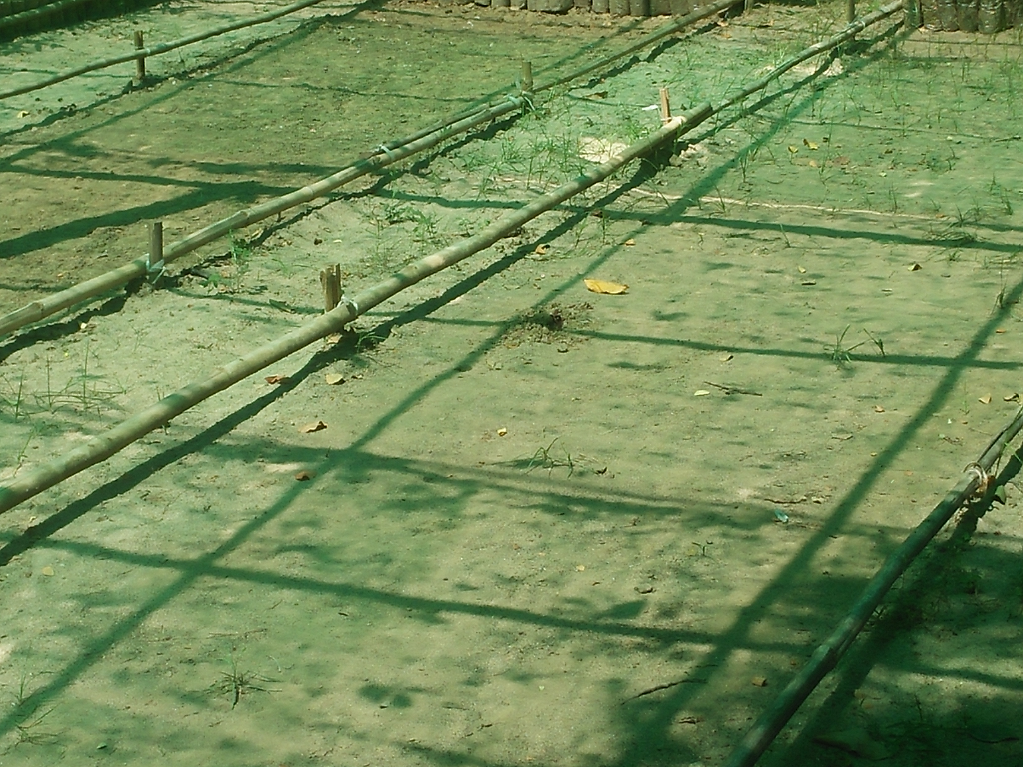 mdn
