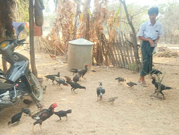 တန္