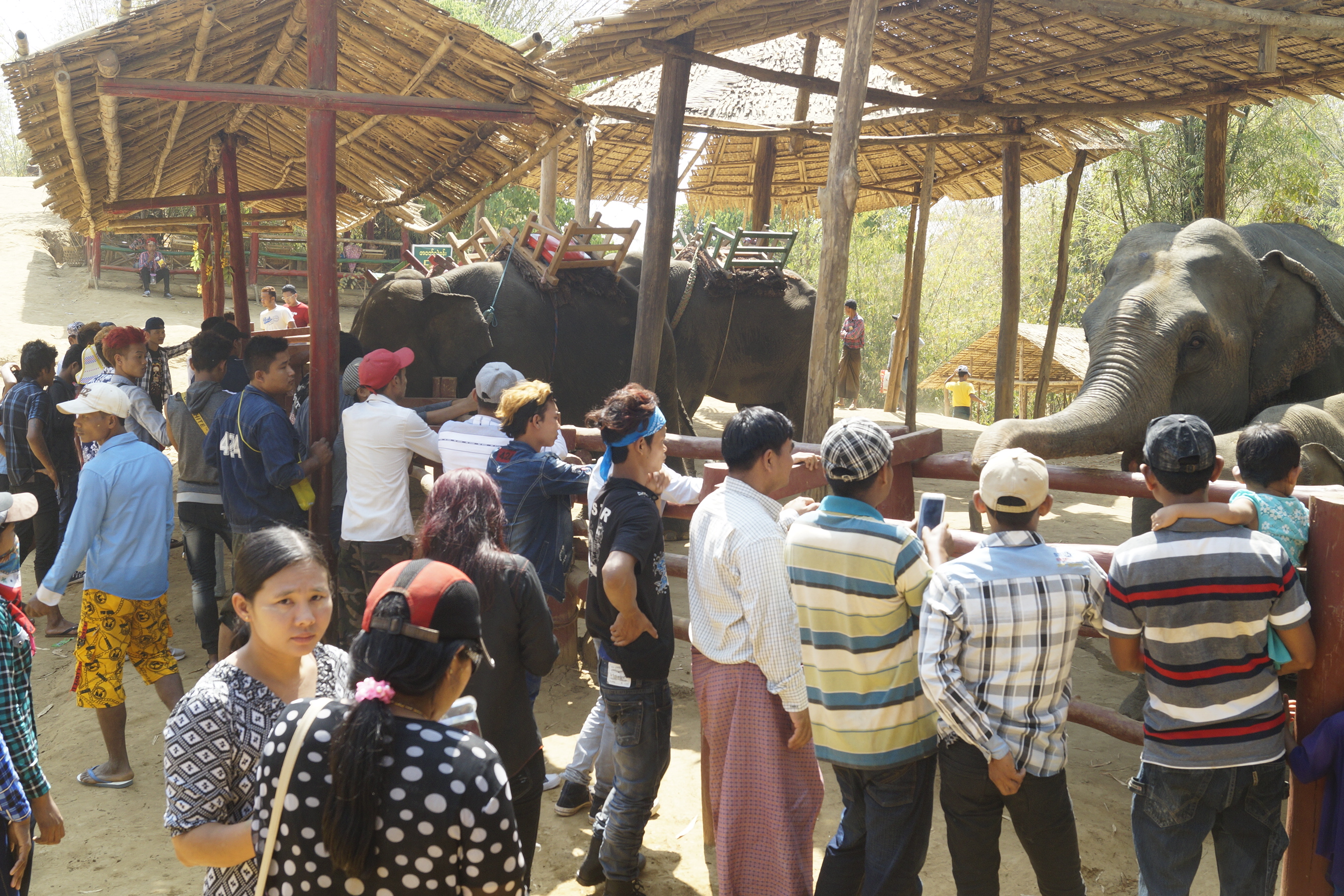 ေေေ