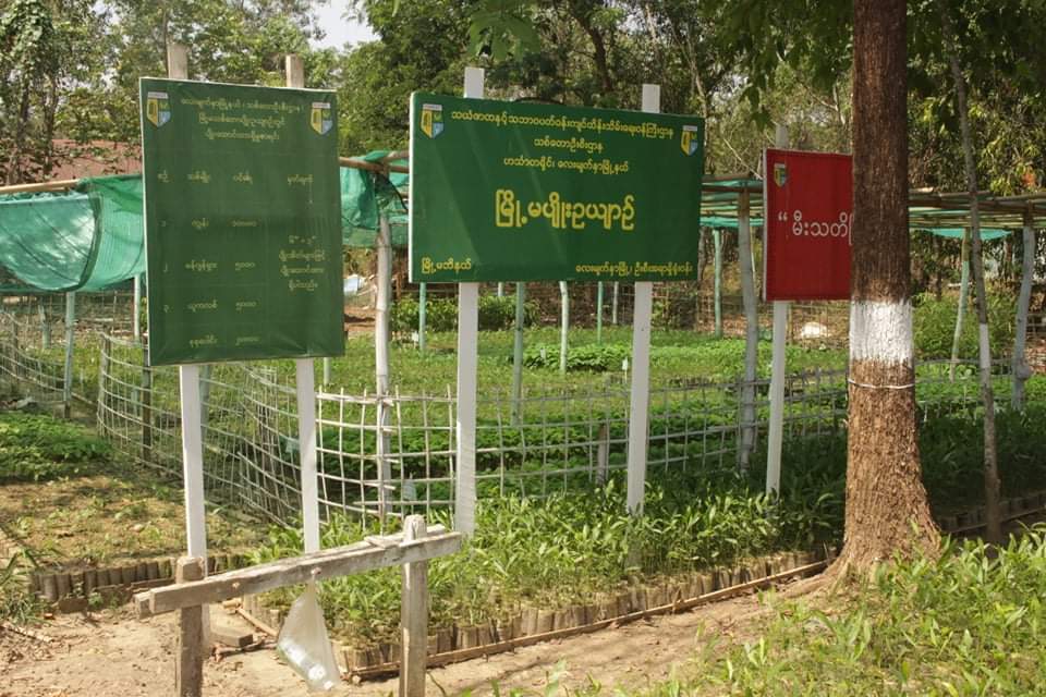 mdn