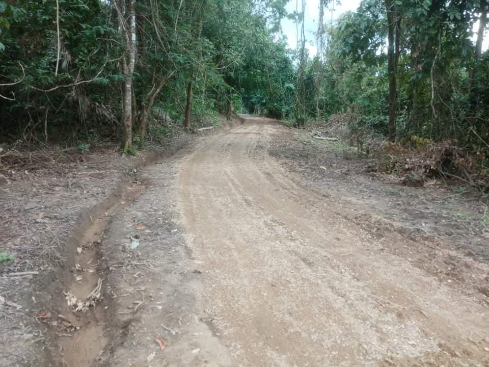 mdn
