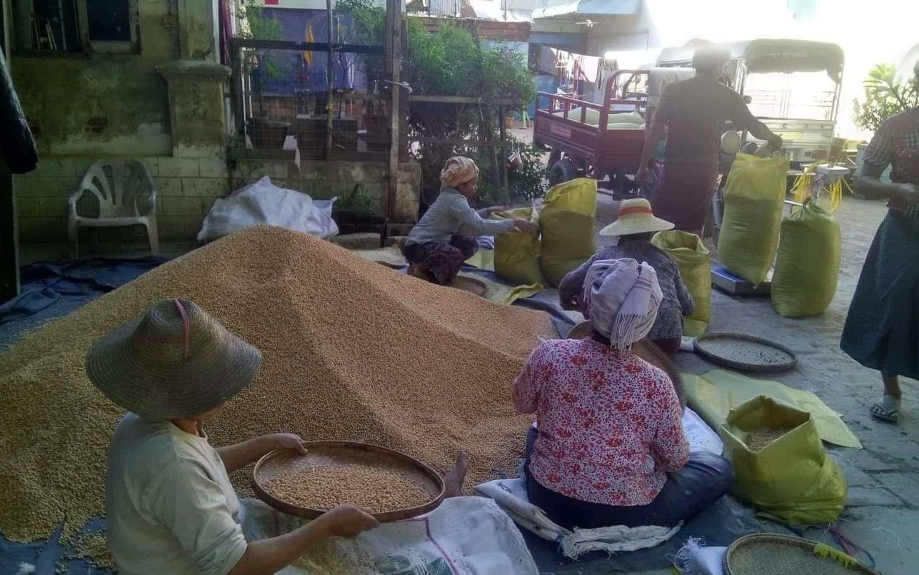 ‌ပဲ၁၂၃